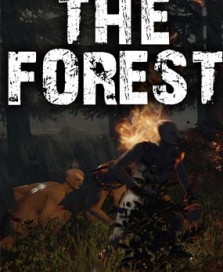 Аккаунт Steam Лицензионные ключи The Forest (Steam)