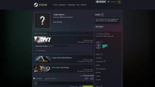 Аккаунт для Steam — Покупка аккаунта DayZ (Стим)